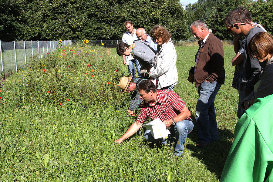 Testansaaten mit Wildsaatgut im Versuchsgarten der Hochschule Testansaaten mit Wildsaatgut im Versuchsgarten der Hochschule